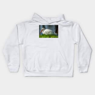 American white ibis  of Florida 2 Kids Hoodie